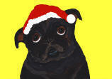 (HA55) - Holiday Black Pug