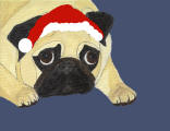 (HA5) - Holiday Pouting Fawn Pug 