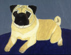 (A7) Fawn Pug on blue rug