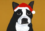 (HBOS) - Holiday Boston Terrier