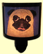 Learn more about the Night Lights...