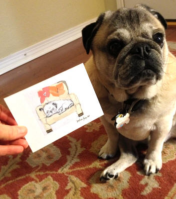 Howie loves his new note cards to send out to his adoring fans! (Pug Design Bw20)