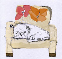 Sweet Dreams - Napping Pug Fabric
