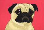 (A48) Fawn Pug with hot pink background
