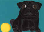 (A23) Black Pug with yellow ball