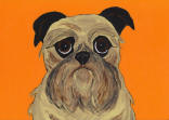 Brussels Griffon