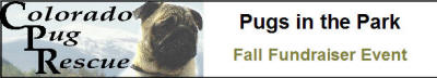 Pugs in the Park - Colorado Pug Rescue