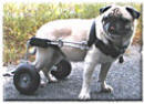 Eddie's Wheels