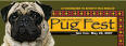 Milwaukee Pug Fest