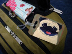 Luggage Flag  - Pug Design A43 - Boston Airport
