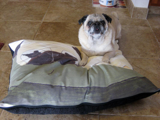 Shown: 24 x 30 - Pug Design A14