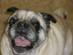 I have something to say! - August 2007