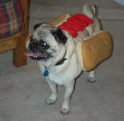 Halloween 2005 - Hotdog Pug