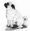 View all of the Pencil Pug Designs...