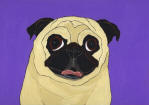 View all of the Pug Designs...