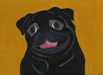 (A32) Black Pug with mustard background