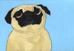 View all of the Pug Designs!