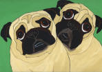 (A67) 2 Fawn Pugs with green background