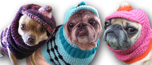Visit my Etsy Shop to order your custom Dog Hat! 