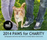 2014 Paws For Charity Art Book Project